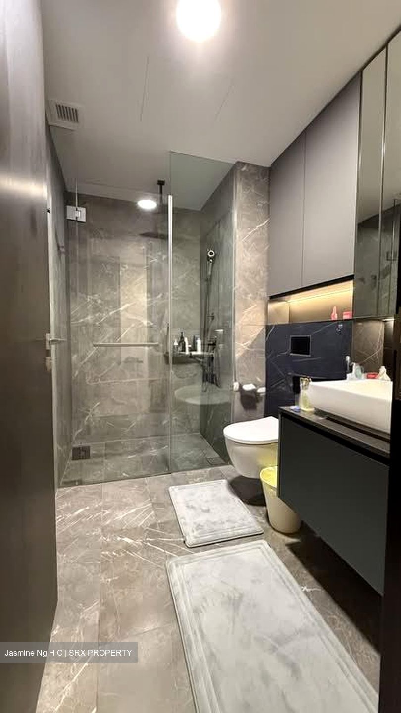 Irwell Hill Residences (D9), Apartment #554540261